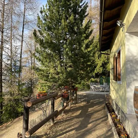 La Casa Dello Scoiattolo Cir Comunale N 20