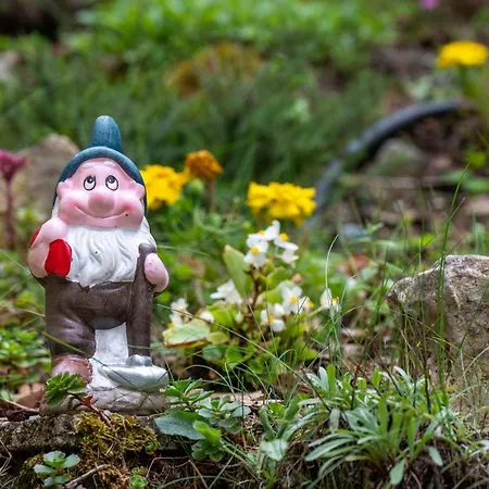 La Casa Dello Scoiattolo Cir Comunale N 20 Tatil Evi *