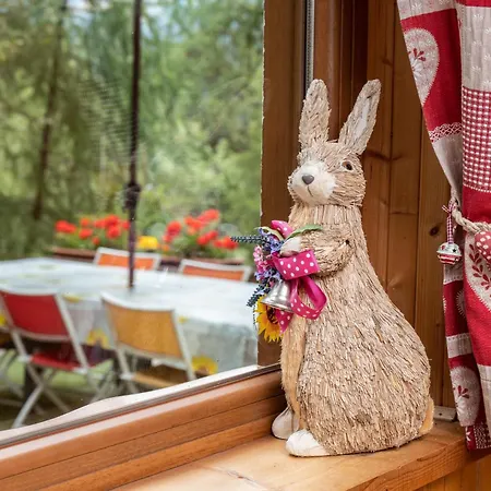 La Casa Dello Scoiattolo Cir Comunale N 20 Tatil Evi *