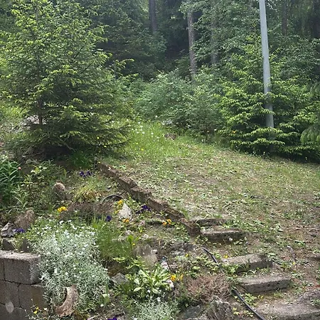 La Casa Dello Scoiattolo Cir Comunale N 20 Holiday home *