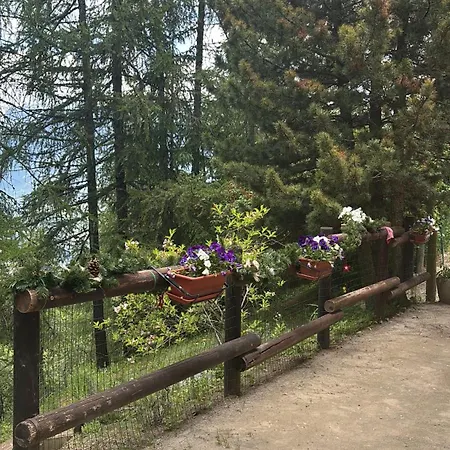 La Casa Dello Scoiattolo Cir Comunale N 20 * غريسان