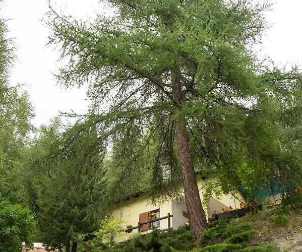 Hébergement de vacances La Casa Dello Scoiattolo Cir Comunale N 20 Gressan